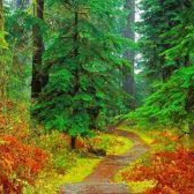 Timeline: პროექტის აქტივობები