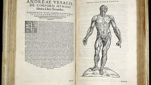 Vesalius presenta l'anatomia humana amb disseccions del cos humà
