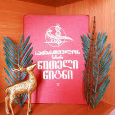 Timeline: პროექტის მსვლელობა და აქტივობები