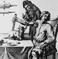 Descobriment circulació sanguina