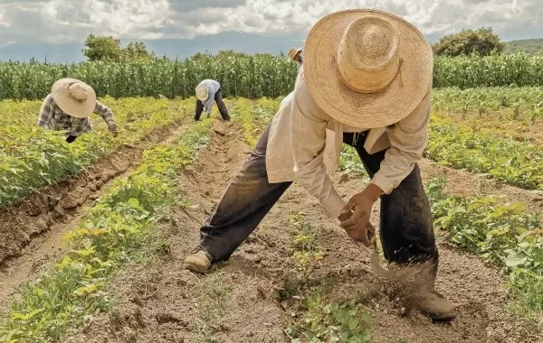 Globalización Arcaica