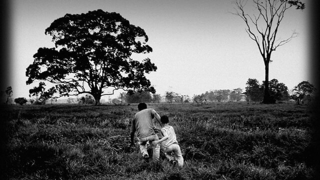 Refugiados - desplazados