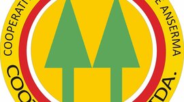 Timeline: COOTRANSERMA