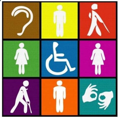 Población en condición de discapacidad