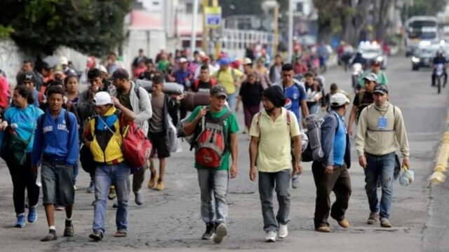 Fenómenos migratorios