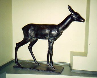 "Metskits" - Jaan Koort