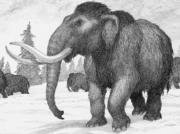 Búsqueda de recursos naturales