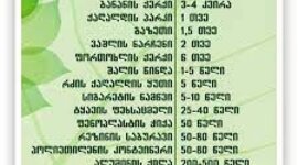 Timeline: მართე ნარჩენი