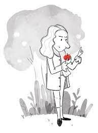 Es formula la llei de la gravetat