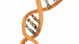 Timeline: დნმ-ს აღმოჩენის ისტორია