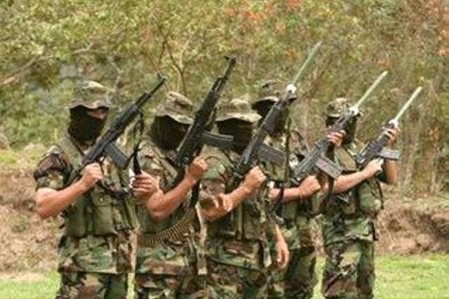 CREACIÓN DE LOS PARAMILITARES