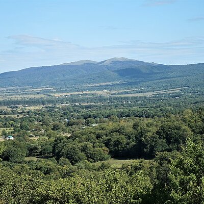 Timeline: პროექტის გეგმა