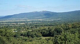 Timeline: პროექტის გეგმა