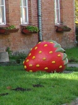 Kondase Maasikas Viljandis