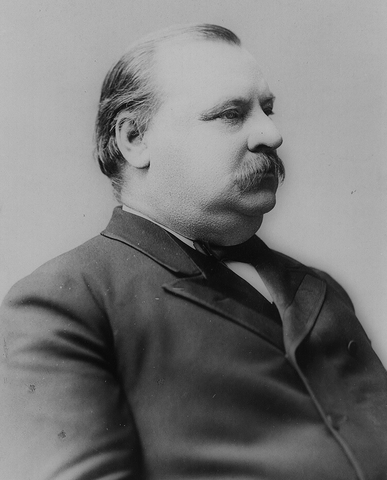 grover cleveland is elected president
