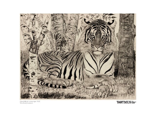 Eduard Wiiralt Lamav Tiiger