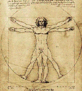 La creació de l'home de Vitruvi de Leonardo da Vinchi