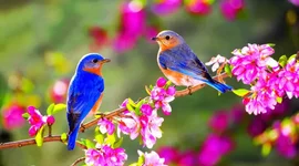 Timeline: სასწავლო პროექტი