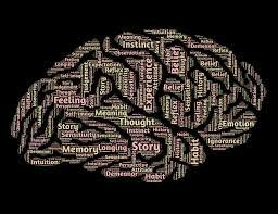 Robert Plomin y colegas introducen el concepto de heredabilidad en la investigación de la personalidad, destacando la influencia genética.