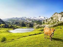 Viaje a Asturias.