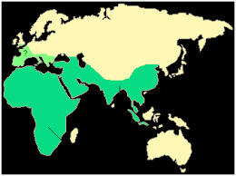 DISTRIBUCIÓ GEOGRÀFICA HOMO ERECTUS