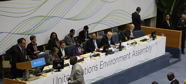 First UN Environment  Assembly