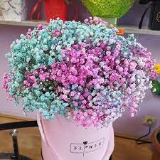 აქტივობა 2