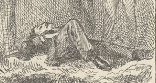 Dr.Robinson are dead!