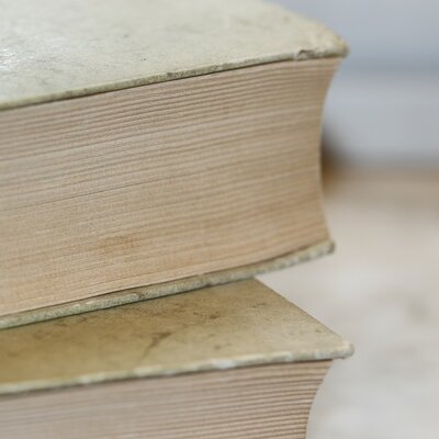 Timeline: the history of linguistic