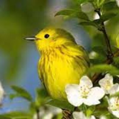 Timeline: ტრენინგის განრიგი