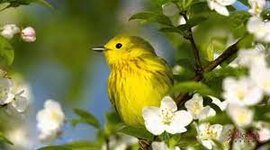 Timeline: ტრენინგის განრიგი