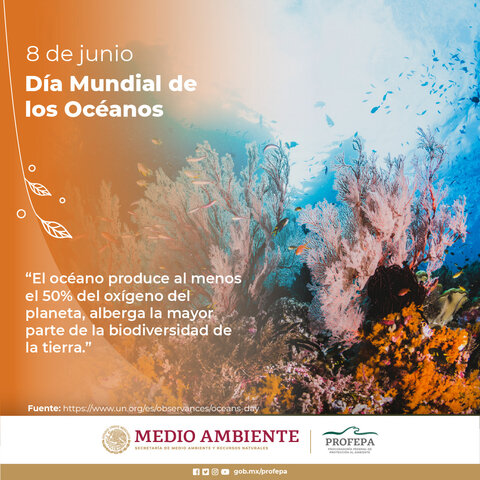 Día Mundial de los Océanos
