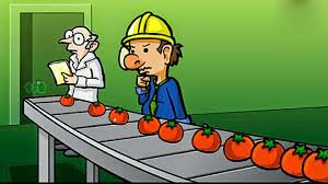 ETAPA DE LA INSPECCIÓN