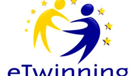 Timeline: My training