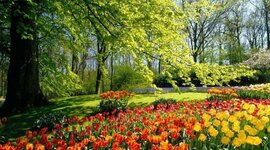 Timeline: პროექტი - ,,ჩვენი გარემო მდგრადი და ლამაზი"