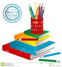 CAPITULO V. ORIENTACIONES CURRICULARES