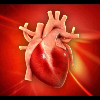 Timeline: გული