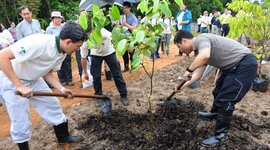 Timeline: აქტივობები