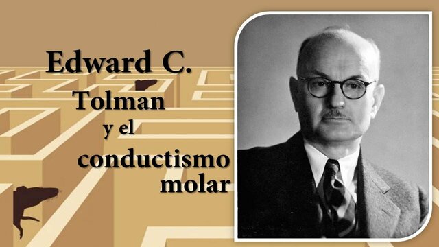 Edward C. Tolman Teoría Cognitiva