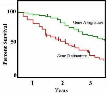 Análisis de supervivencia de Kaplan-Meier