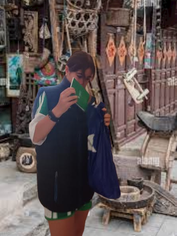 THE ROBBERY 💸💰🤑