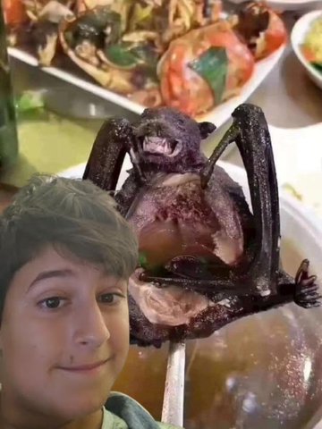 THE FORBIDEN CITY🌺