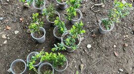 Timeline: აღმოჩენები ბიოლოგიაში