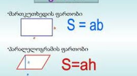 Timeline: პროექტი "ფართობი"