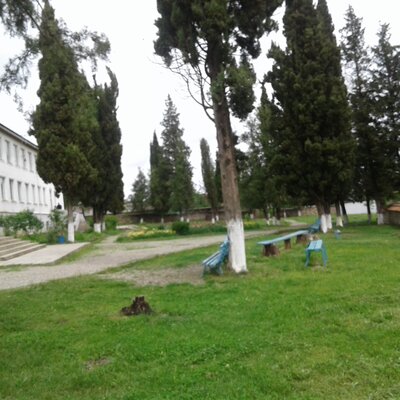 Timeline: პროექტი - დედამიწაზე ზრუნვა ჩვენი ეზოდან იწყება