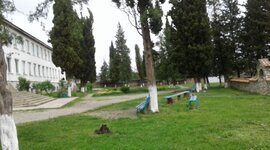 Timeline: პროექტი - დედამიწაზე ზრუნვა ჩვენი ეზოდან იწყება