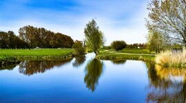 Timeline: environment-integrated skill