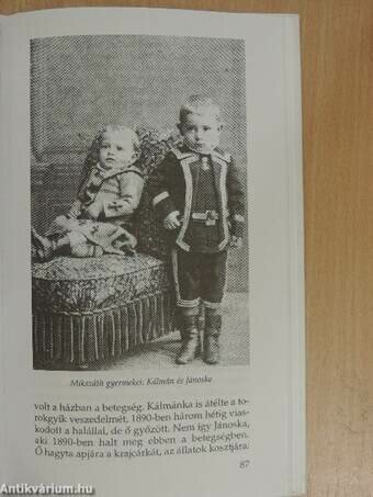 Jánoska hirtelen halála