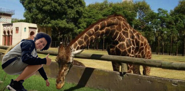 The zoo.