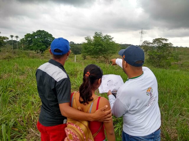 Etapa de restitución